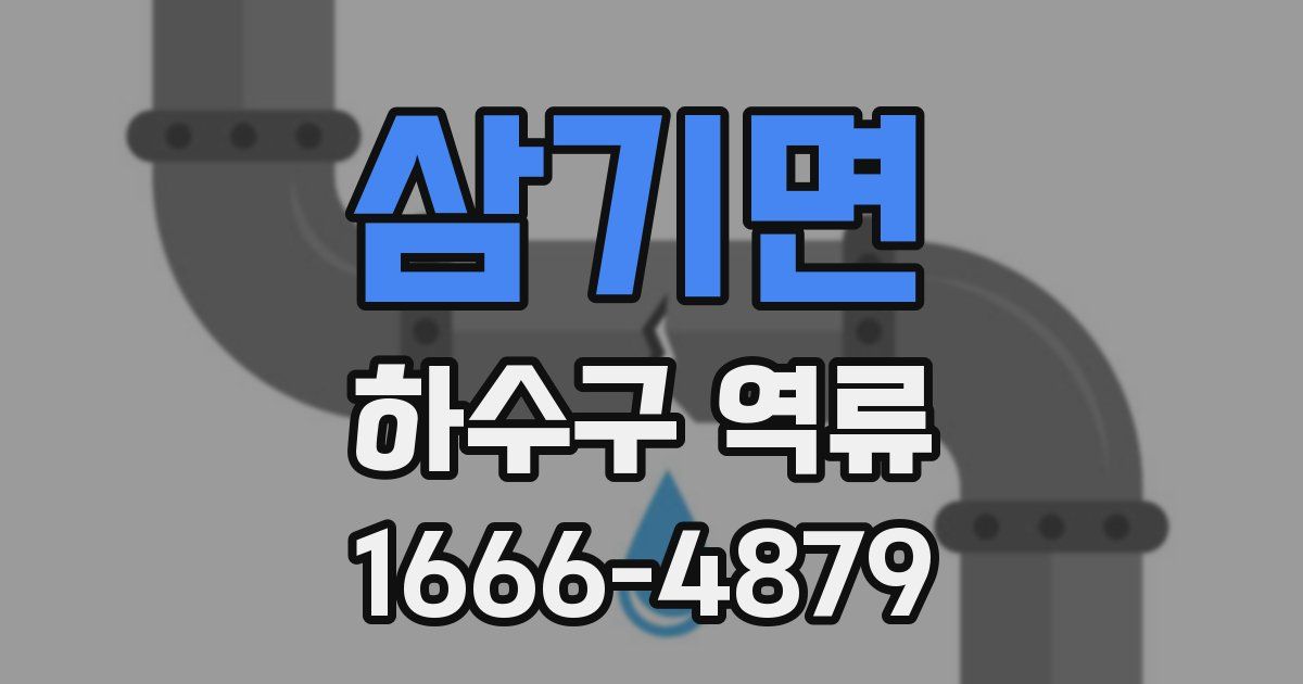 삼기면 하수구 역류