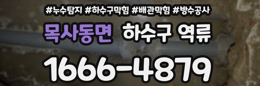 목사동면 하수구 역류