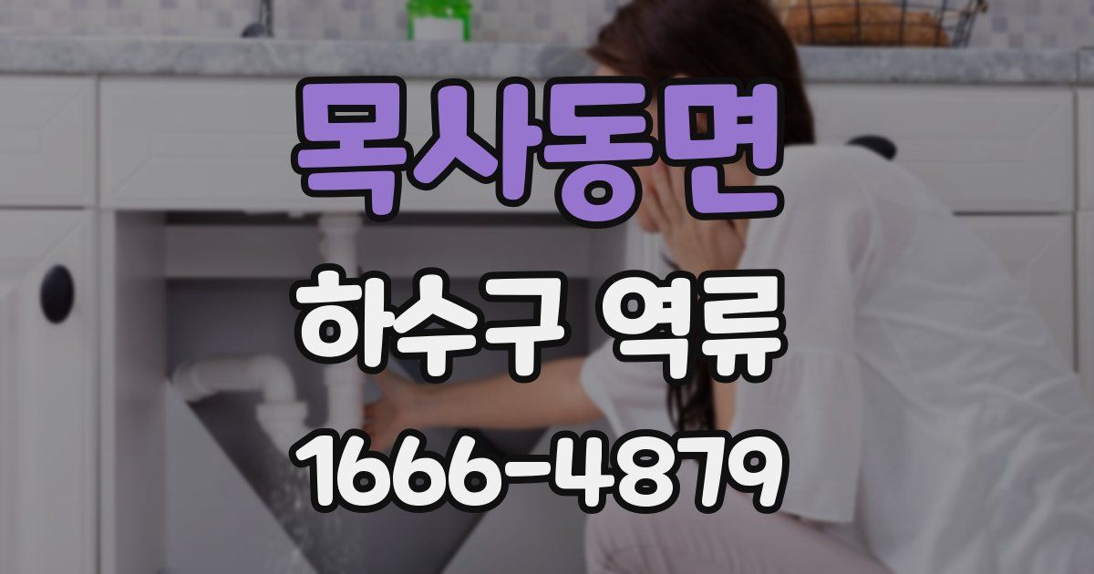 목사동면 하수구 역류