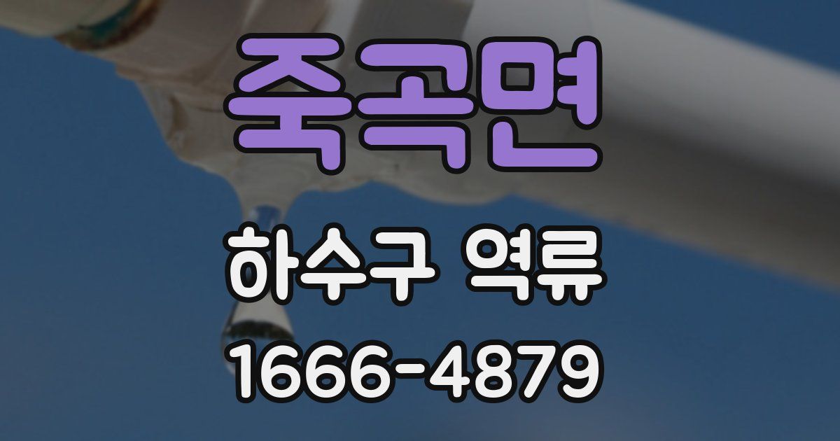 죽곡면 하수구 역류