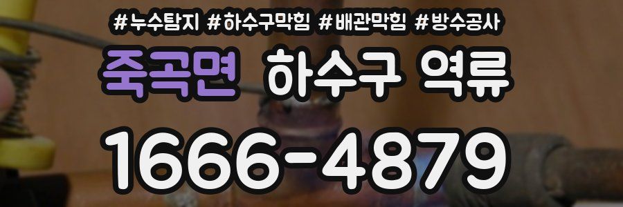 죽곡면 하수구 역류