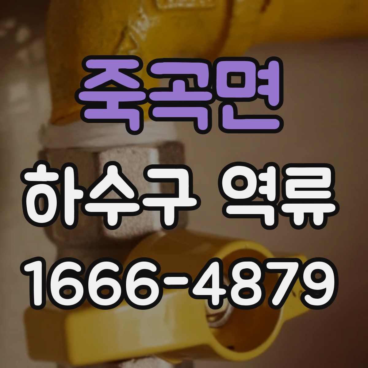 죽곡면 하수구 역류