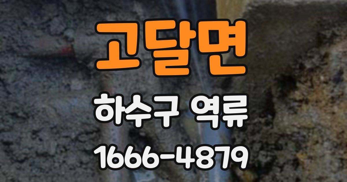 고달면 하수구 역류