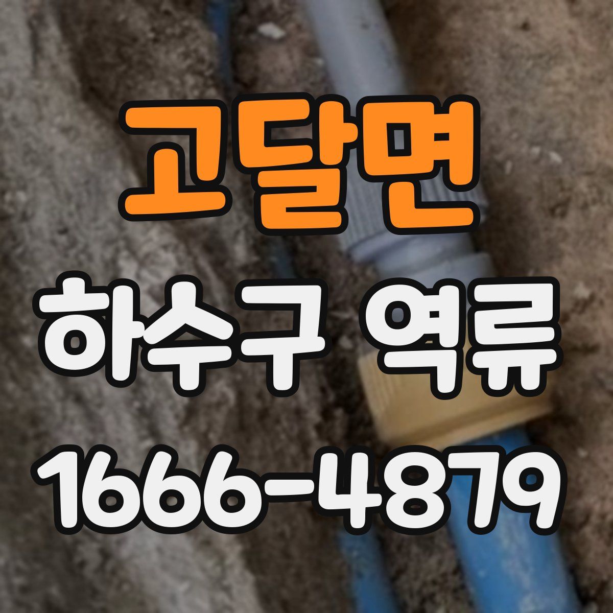 고달면 하수구 역류