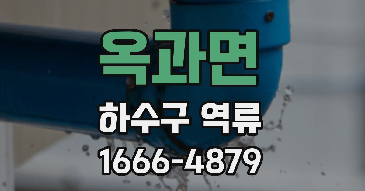 옥과면 하수구 역류