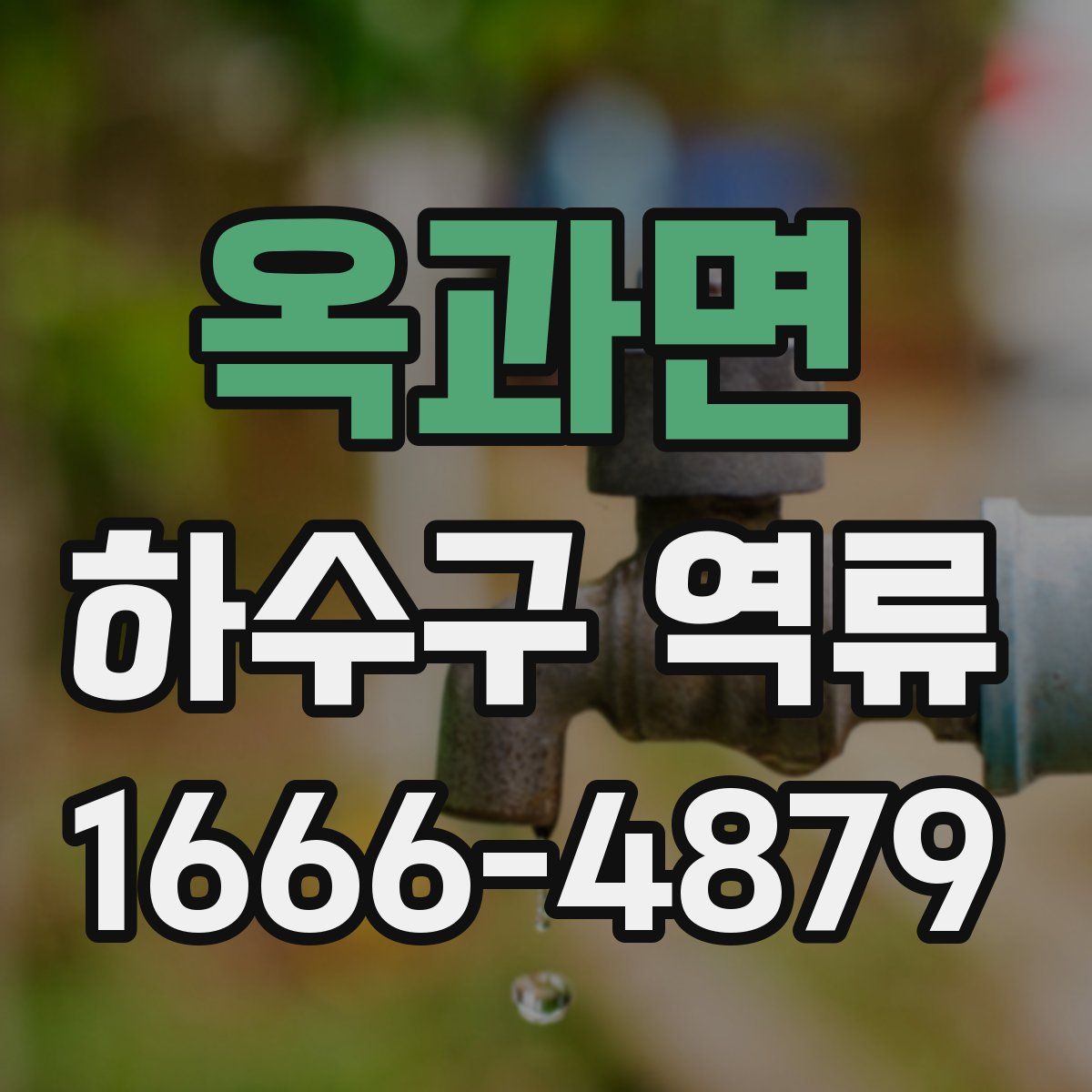 옥과면 하수구 역류