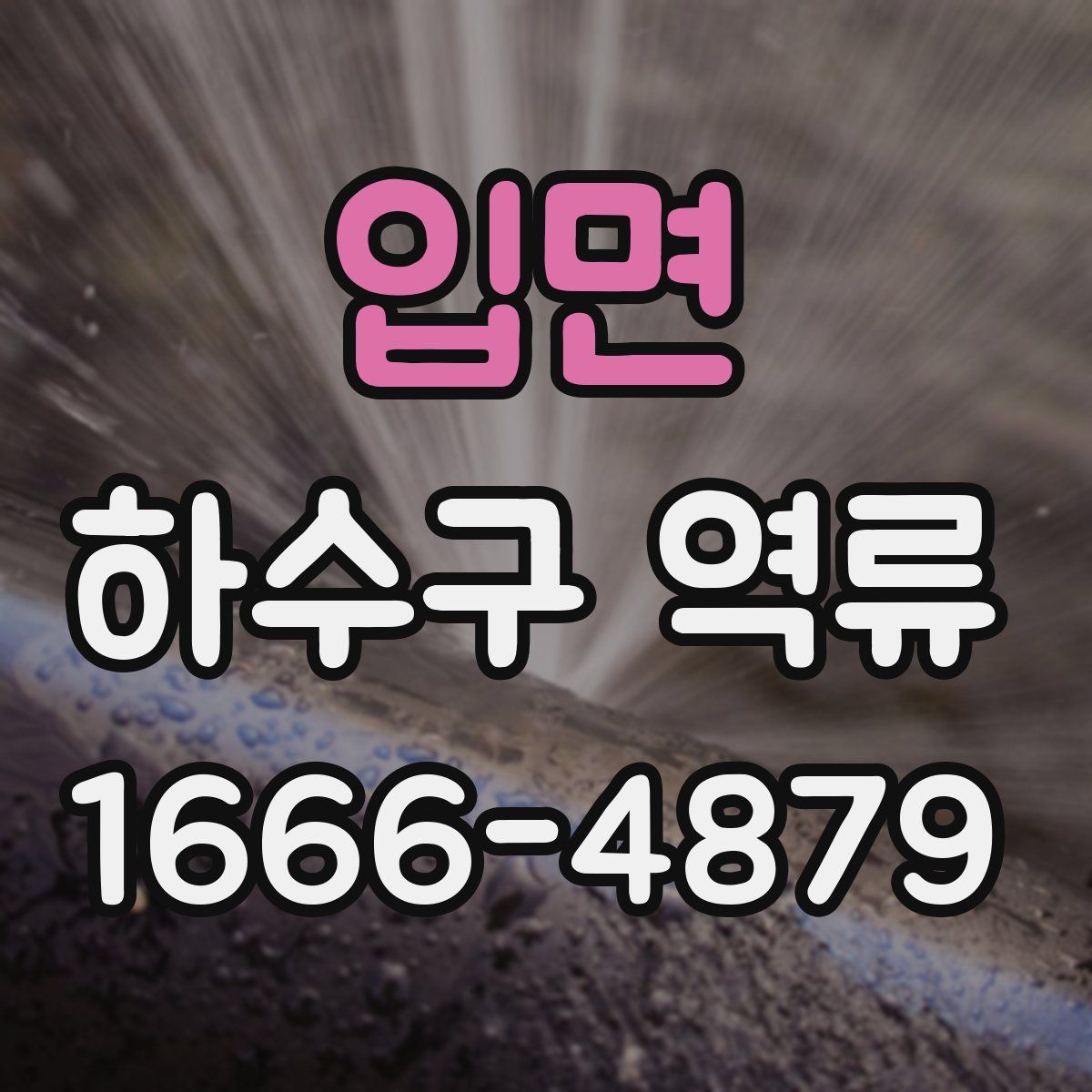 입면 하수구 역류
