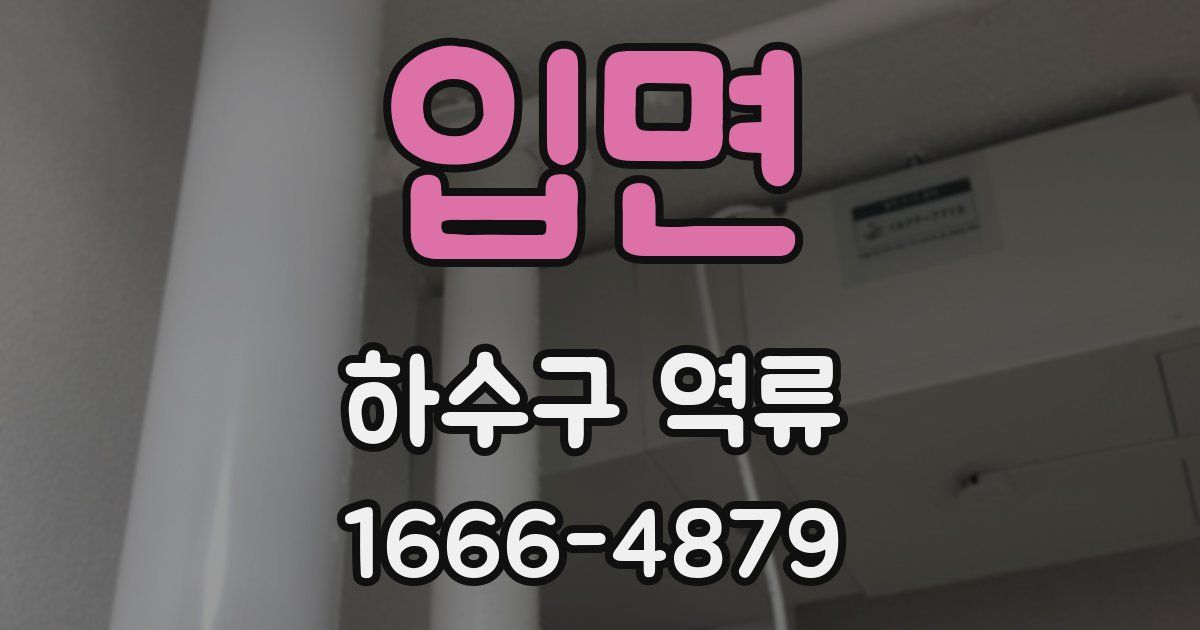 입면 하수구 역류