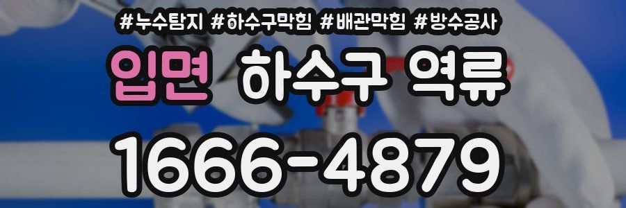 입면 하수구 역류
