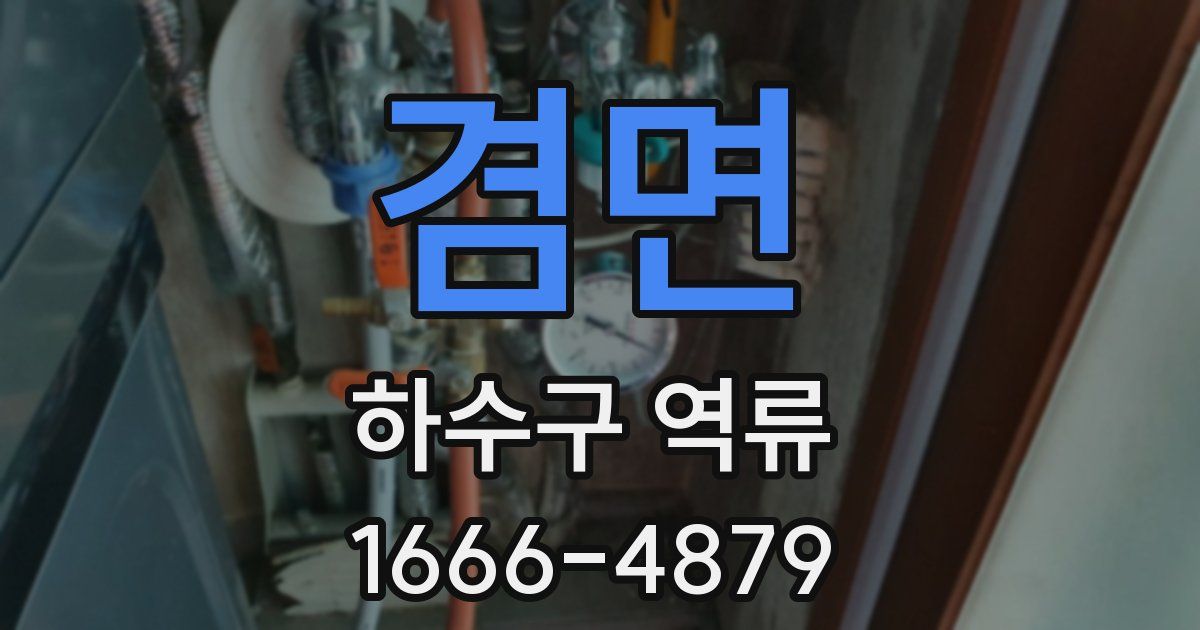 겸면 하수구 역류