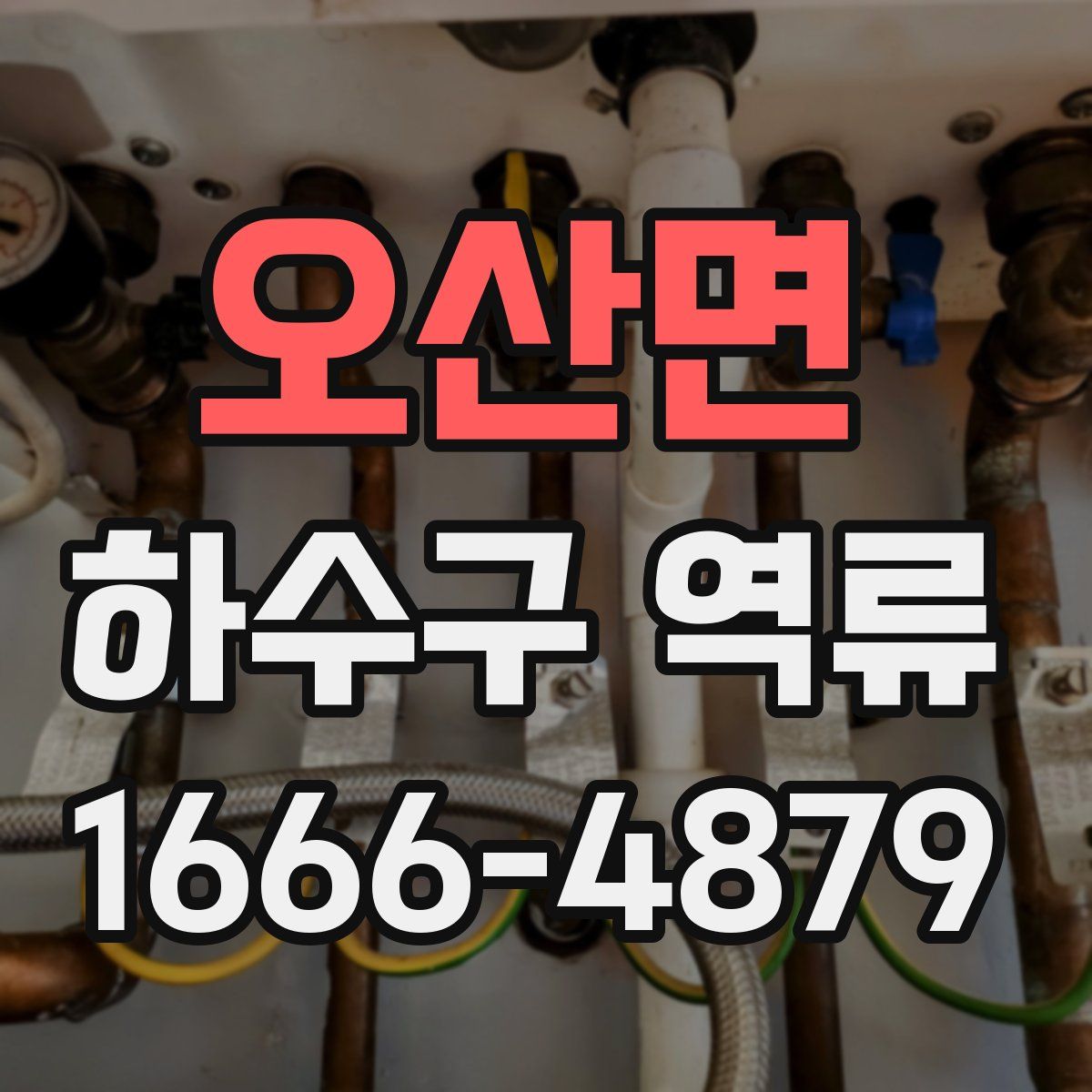 오산면 하수구 역류