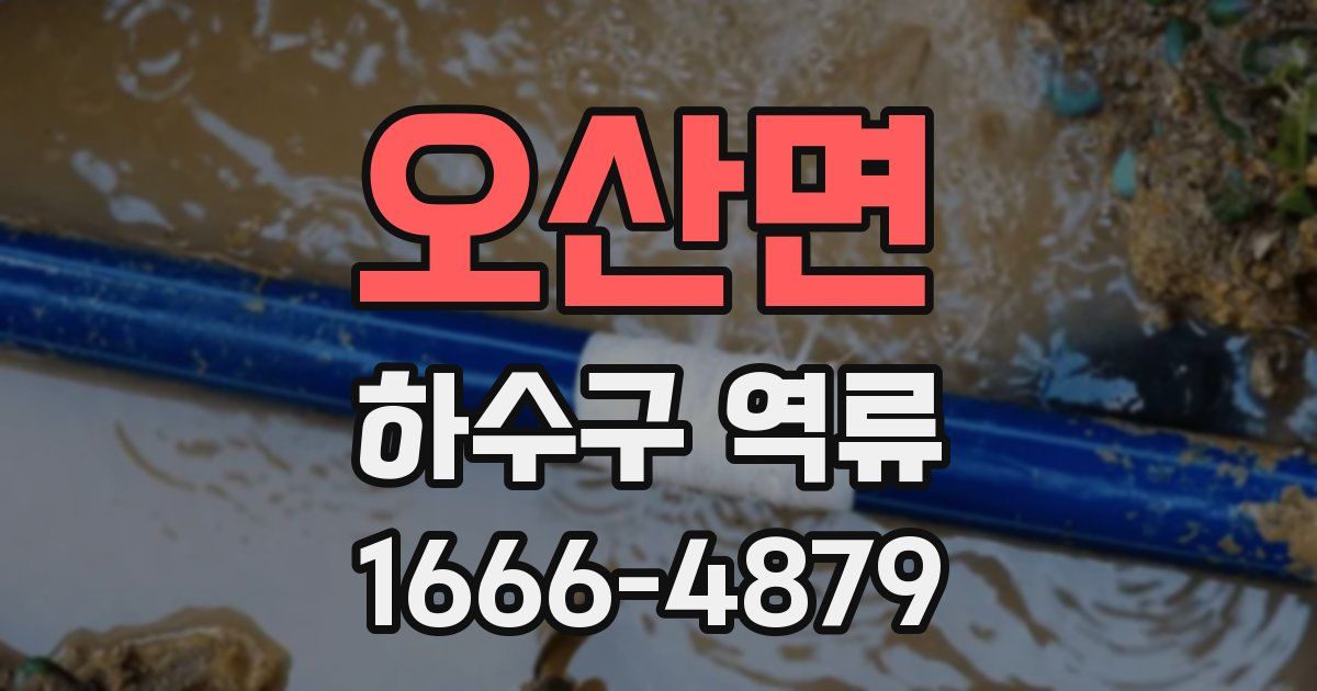 오산면 하수구 역류