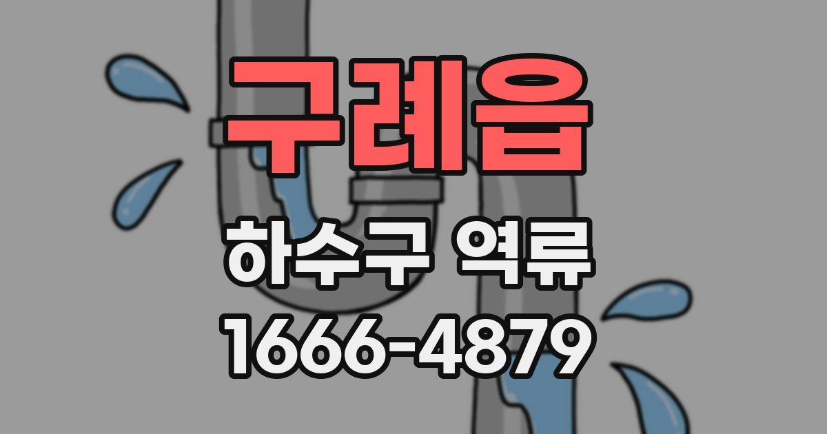 구례읍 하수구 역류
