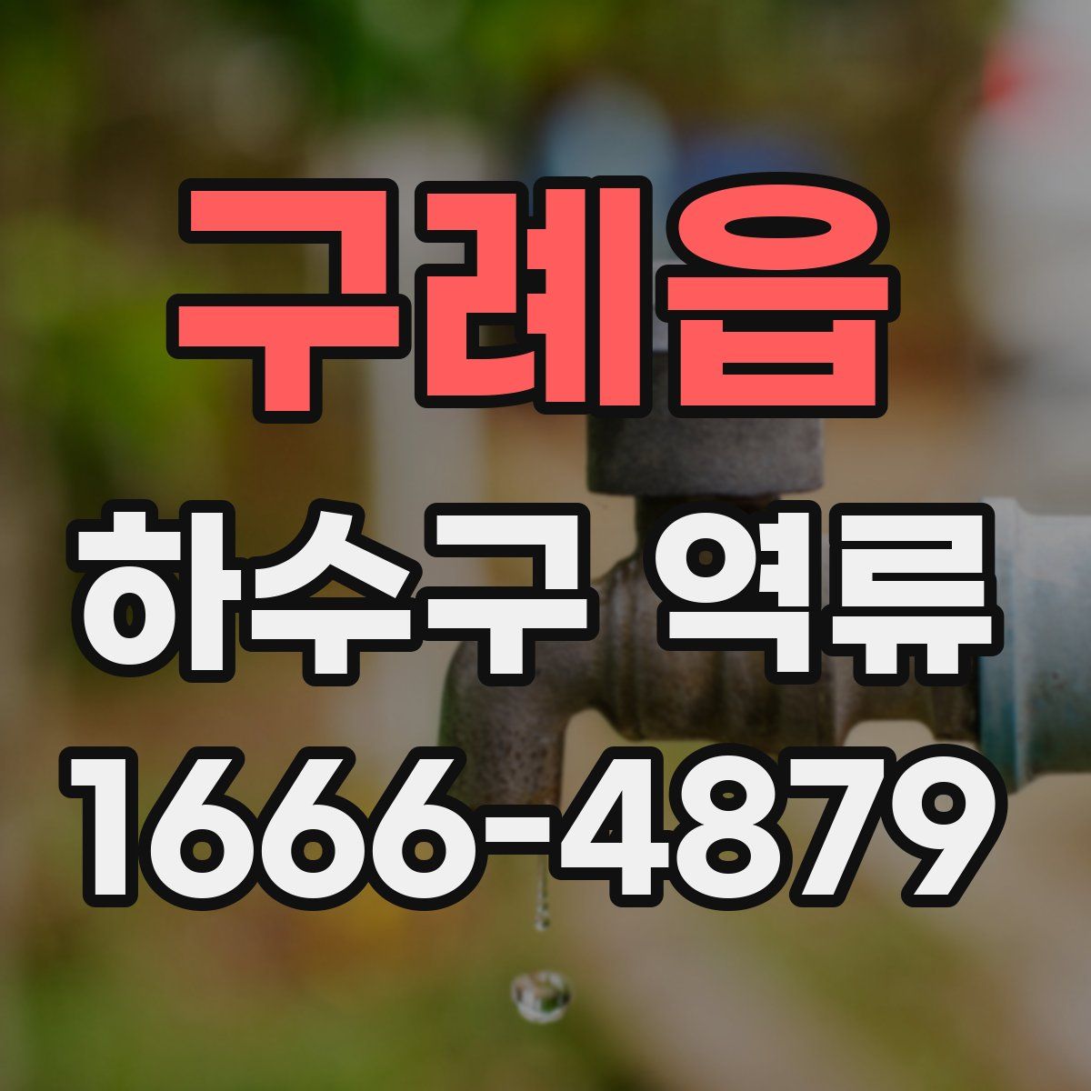 구례읍 하수구 역류