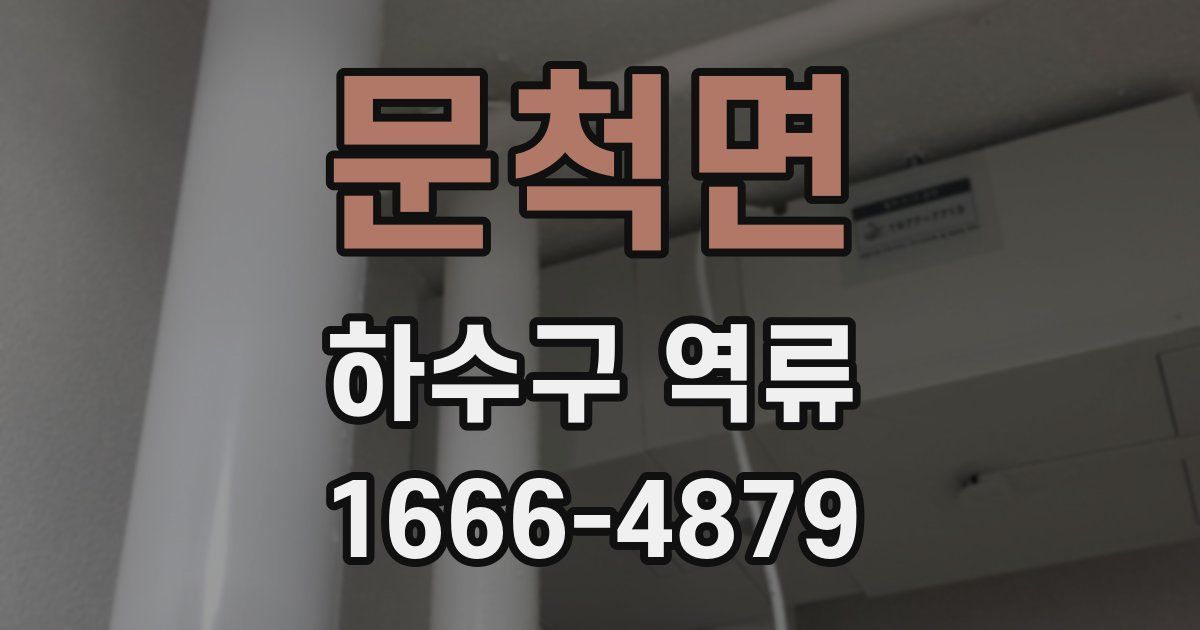 문척면 하수구 역류