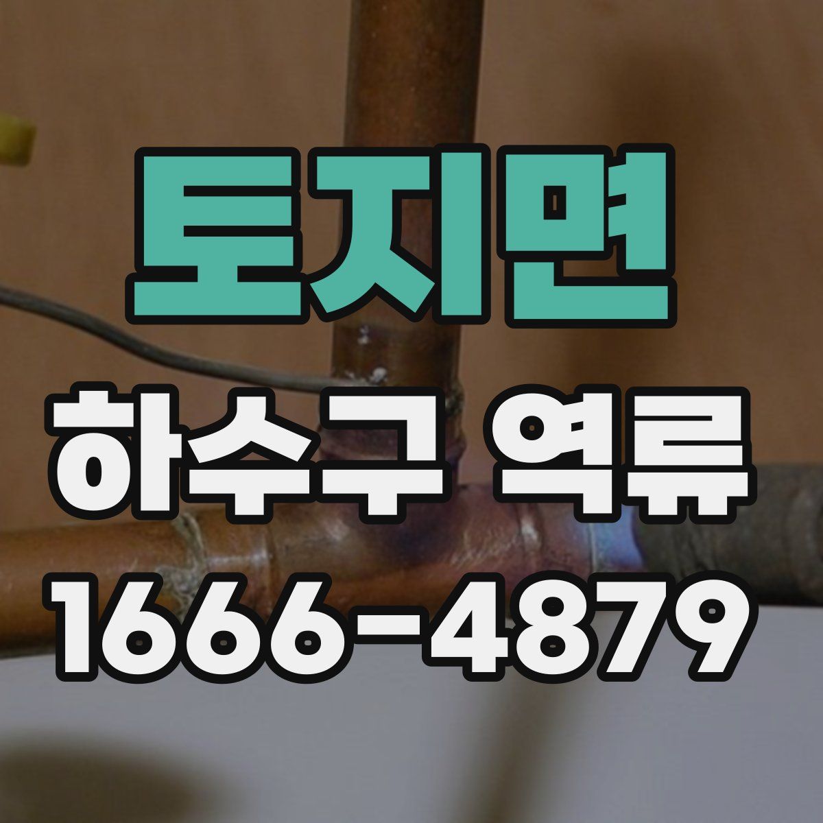 토지면 하수구 역류