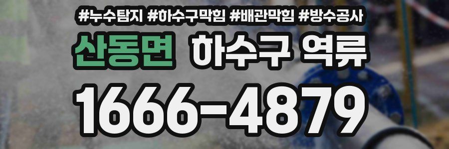 산동면 하수구 역류