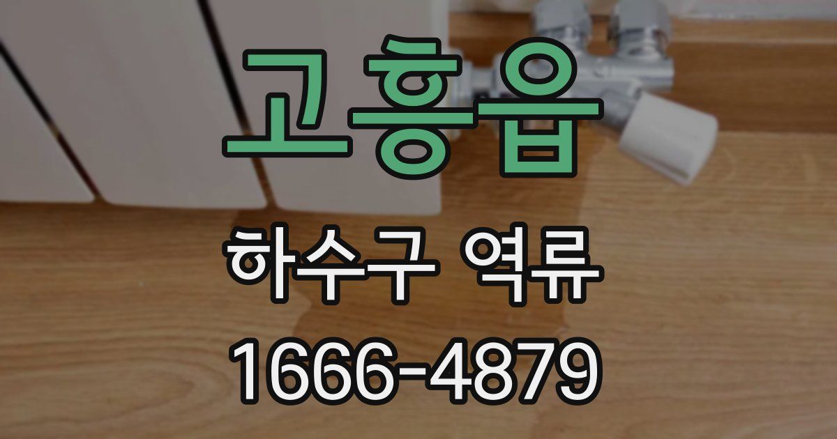 고흥읍 하수구 역류