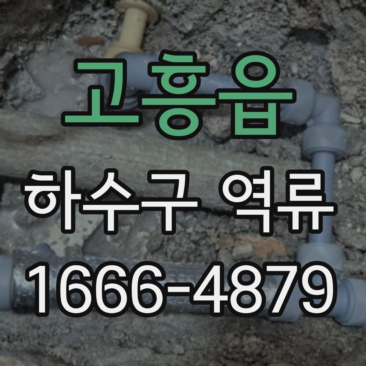 고흥읍 하수구 역류