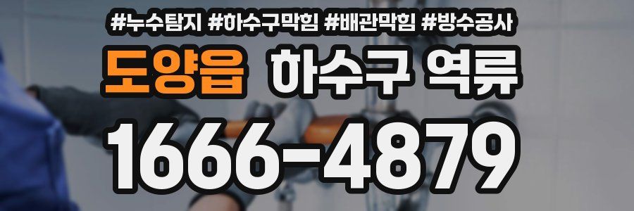 도양읍 하수구 역류