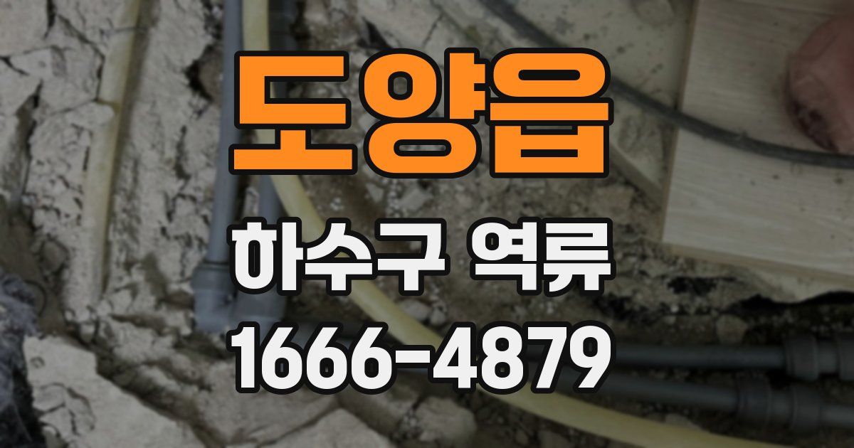 도양읍 하수구 역류