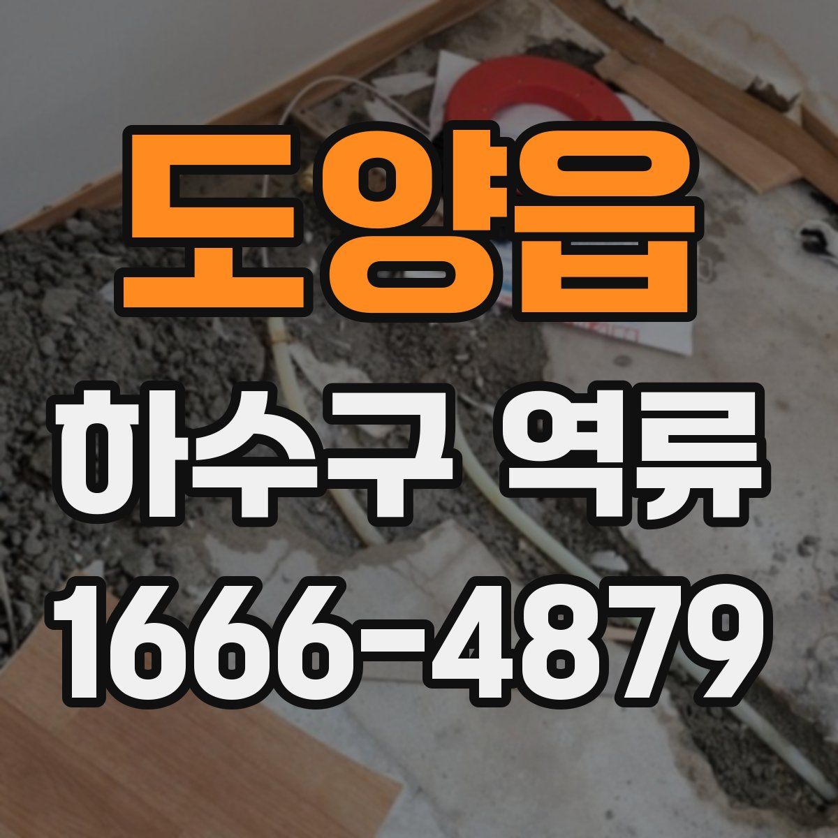 도양읍 하수구 역류
