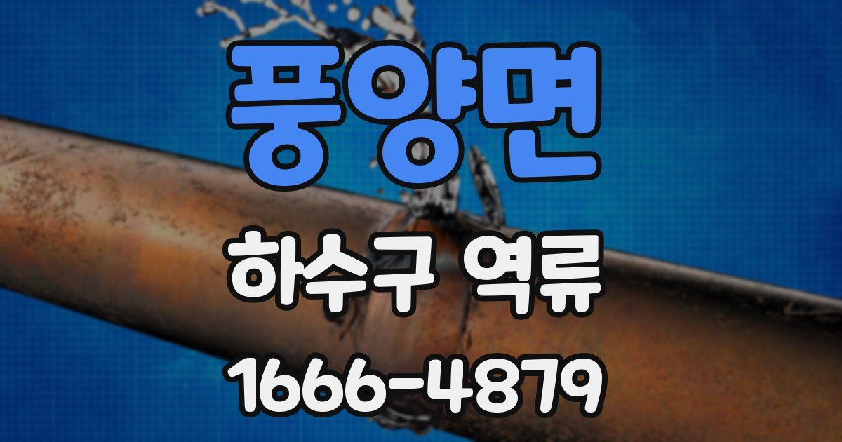 풍양면 하수구 역류