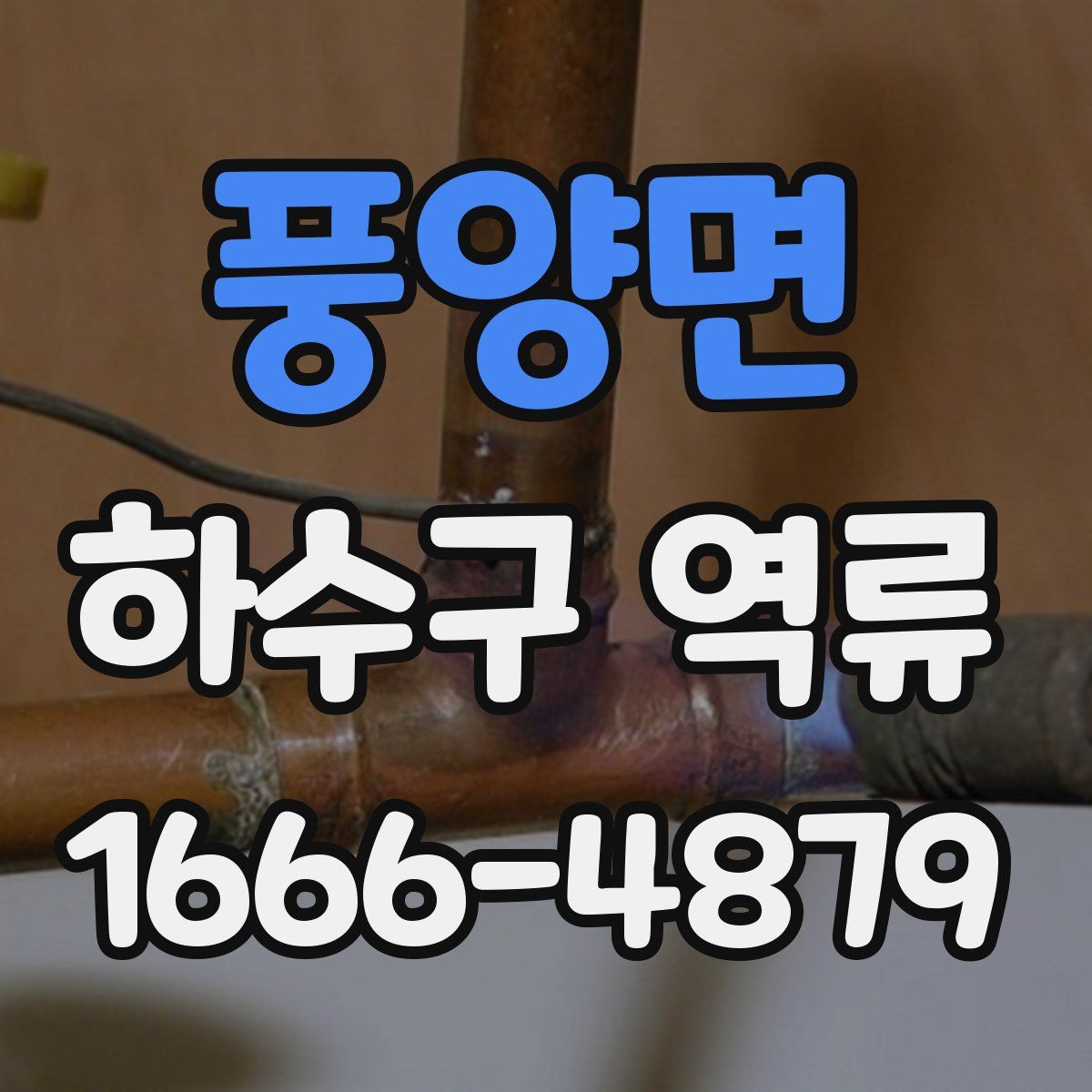 풍양면 하수구 역류