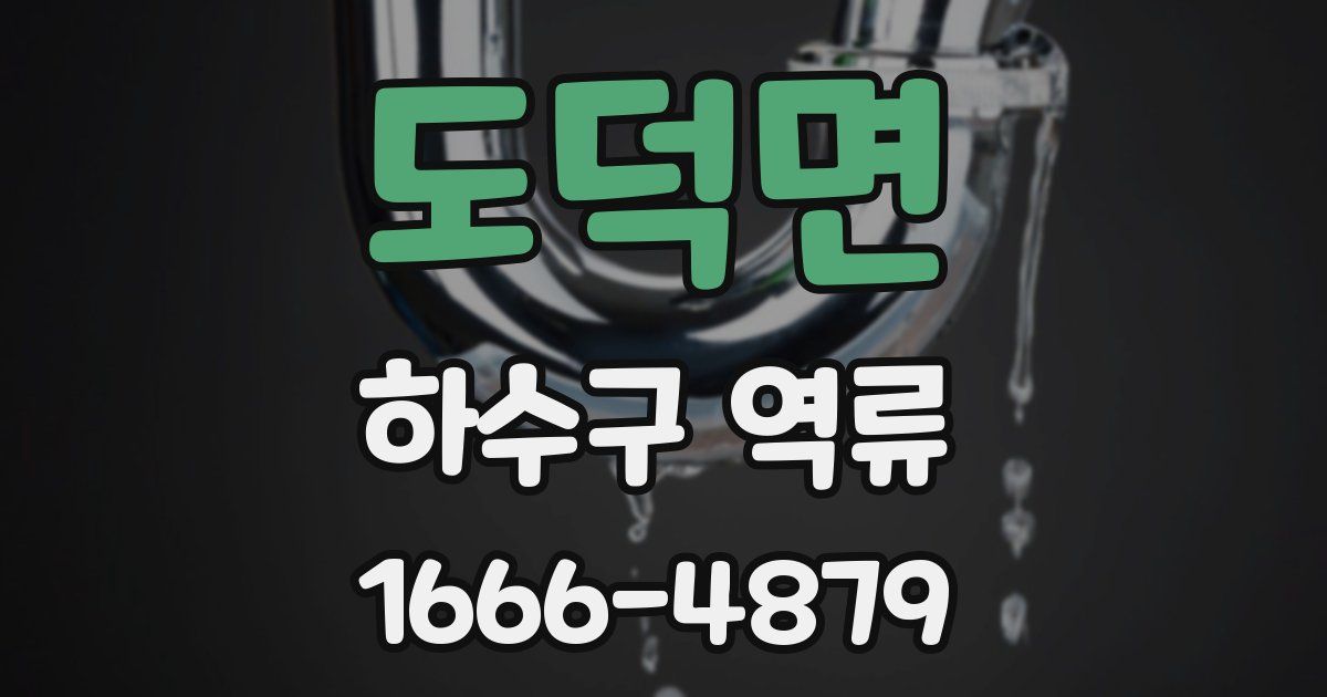 도덕면 하수구 역류