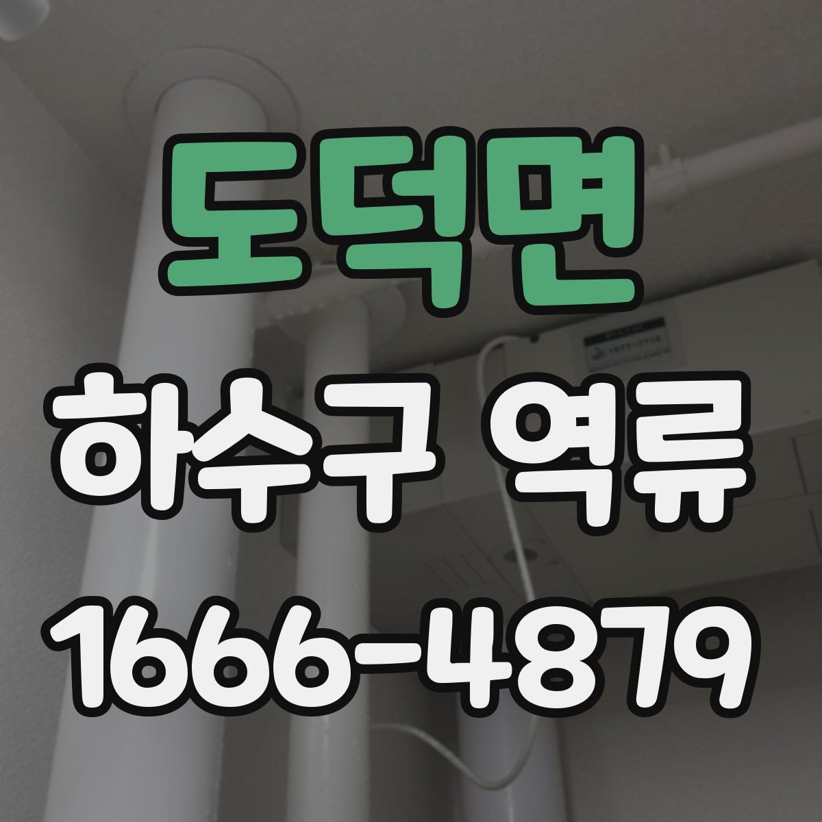 도덕면 하수구 역류