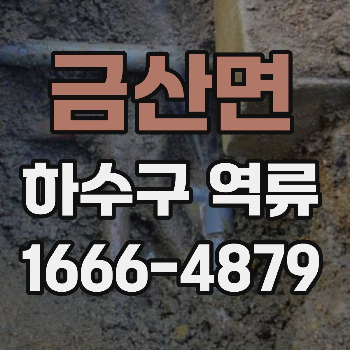 금산면 하수구 역류