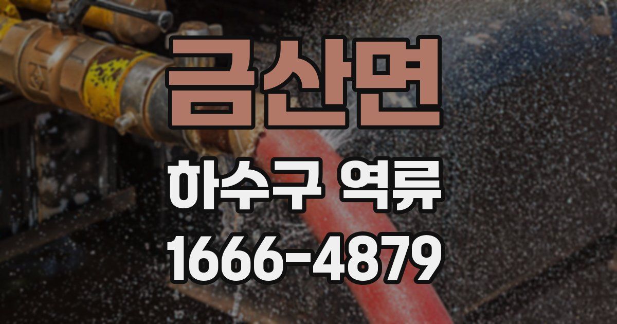 금산면 하수구 역류
