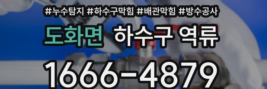 도화면 하수구 역류