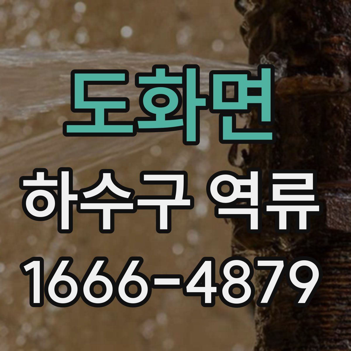 도화면 하수구 역류