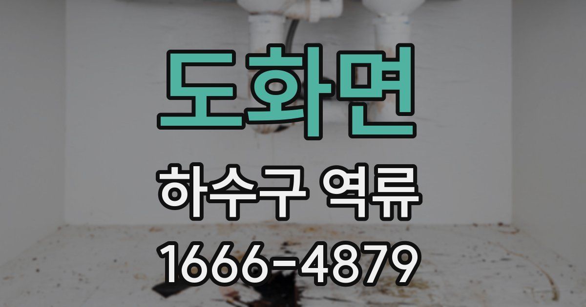 도화면 하수구 역류