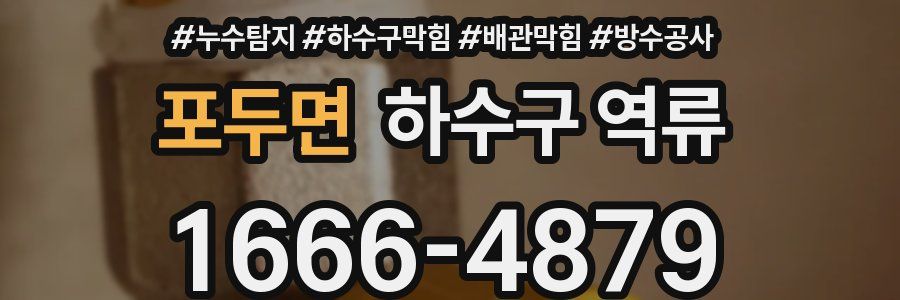 포두면 하수구 역류