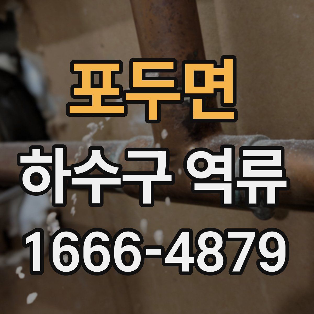 포두면 하수구 역류