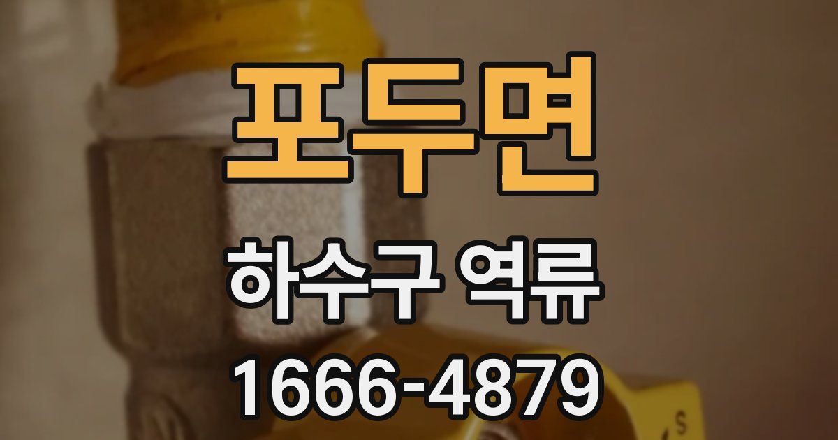 포두면 하수구 역류