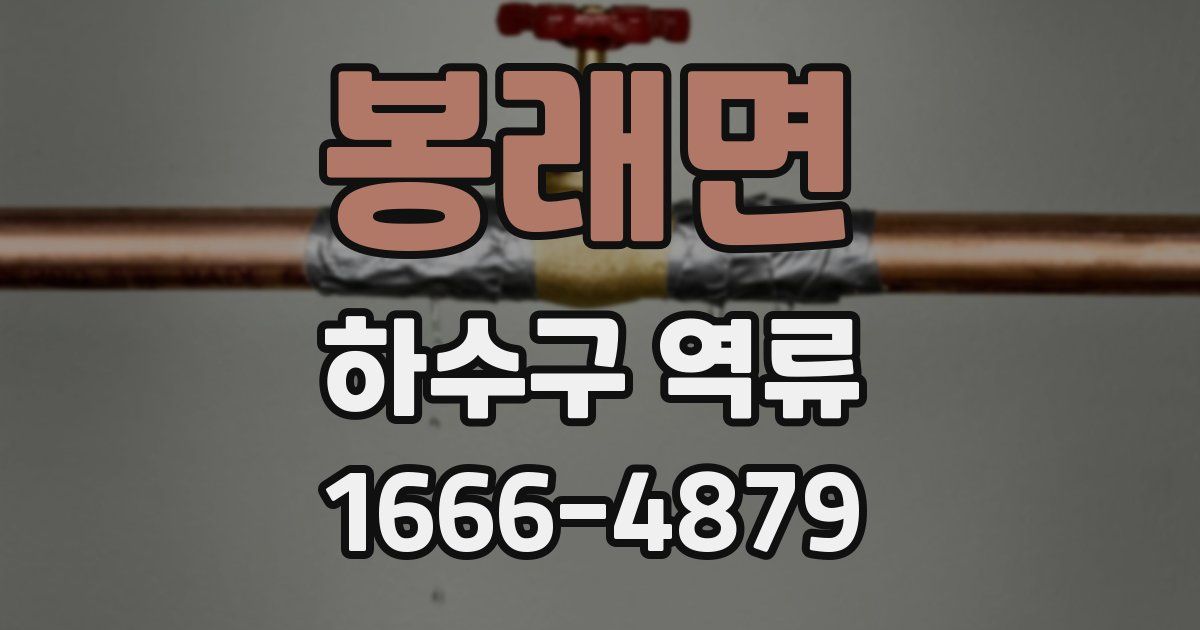 봉래면 하수구 역류