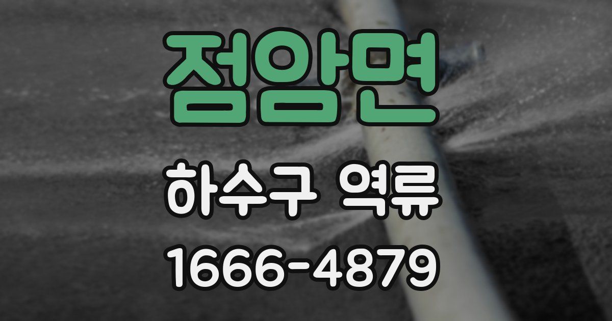 점암면 하수구 역류