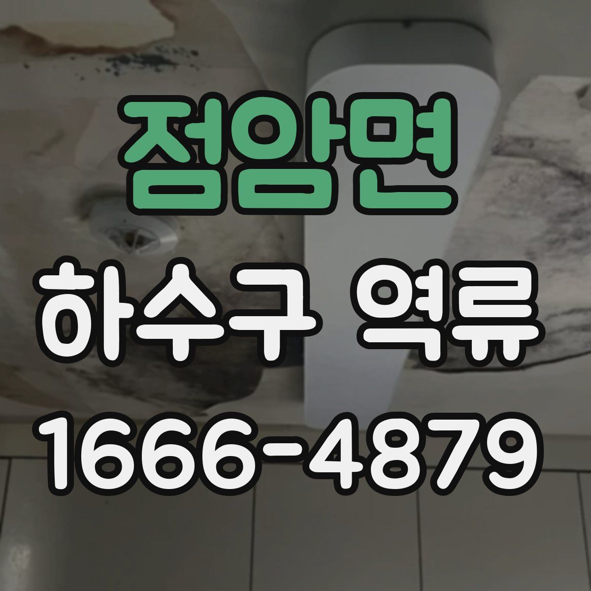 점암면 하수구 역류