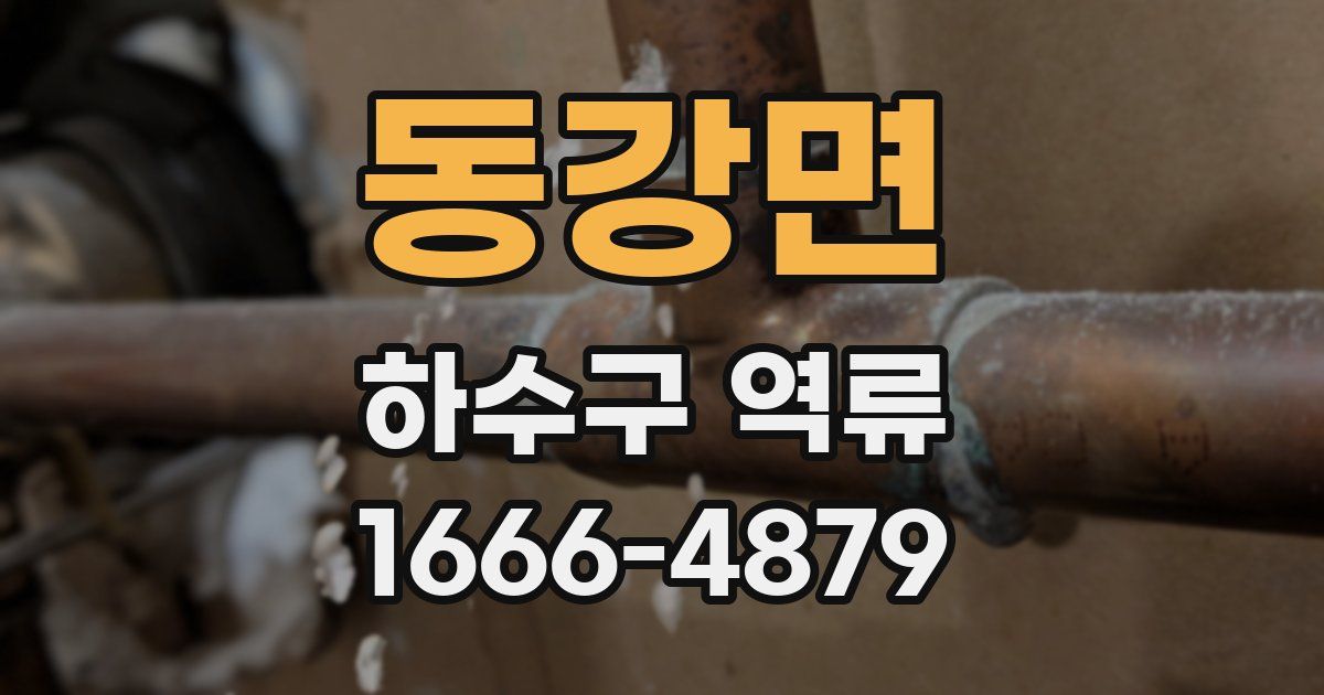 동강면 하수구 역류