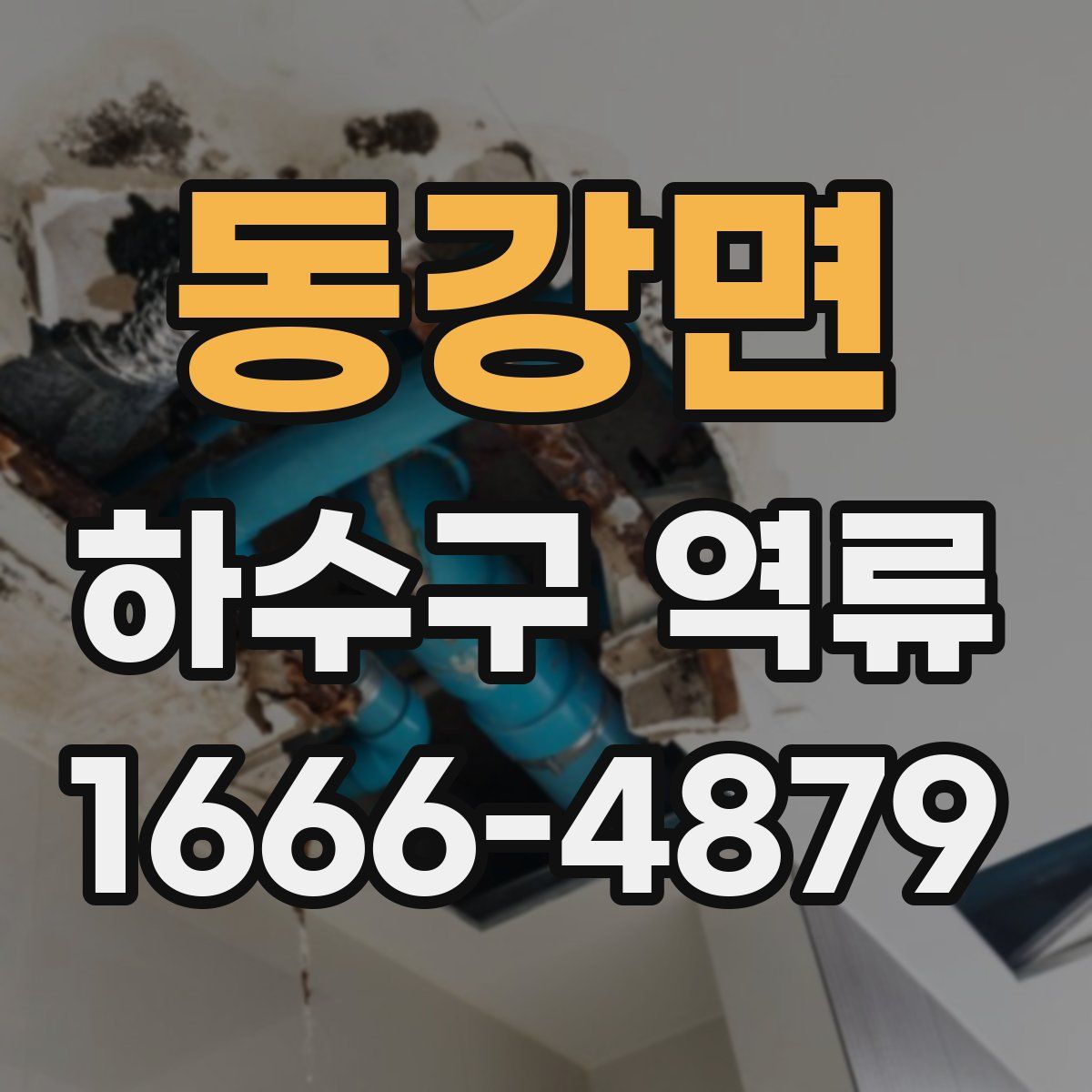 동강면 하수구 역류