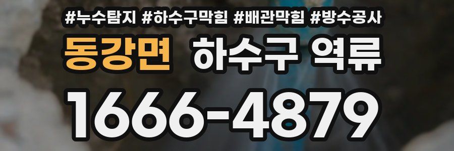 동강면 하수구 역류