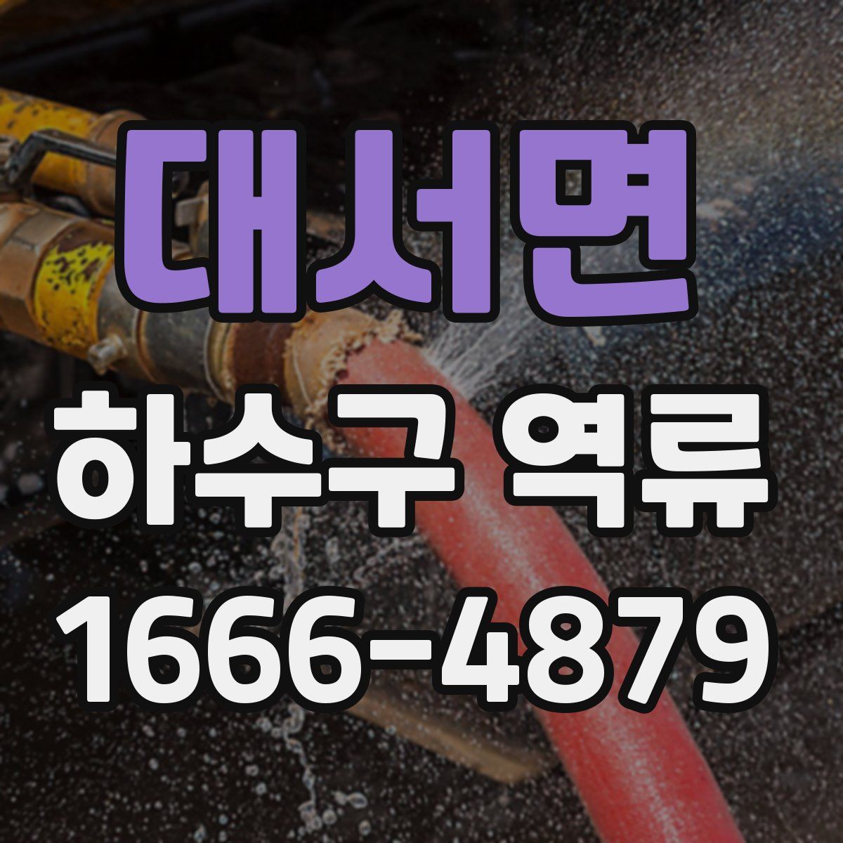 대서면 하수구 역류