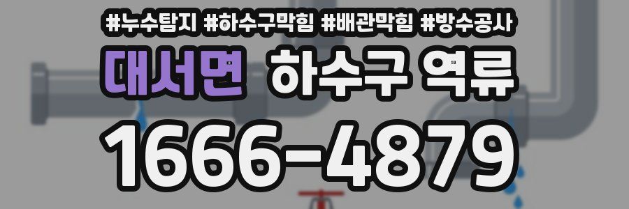 대서면 하수구 역류