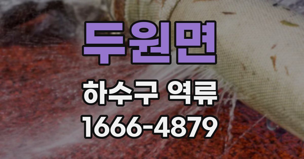 두원면 하수구 역류