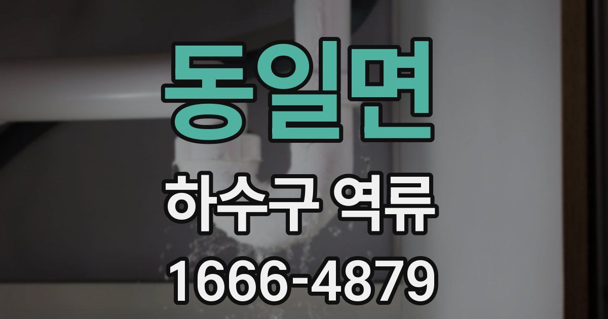 동일면 하수구 역류