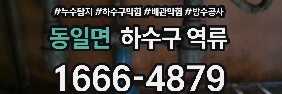 동일면 하수구 역류