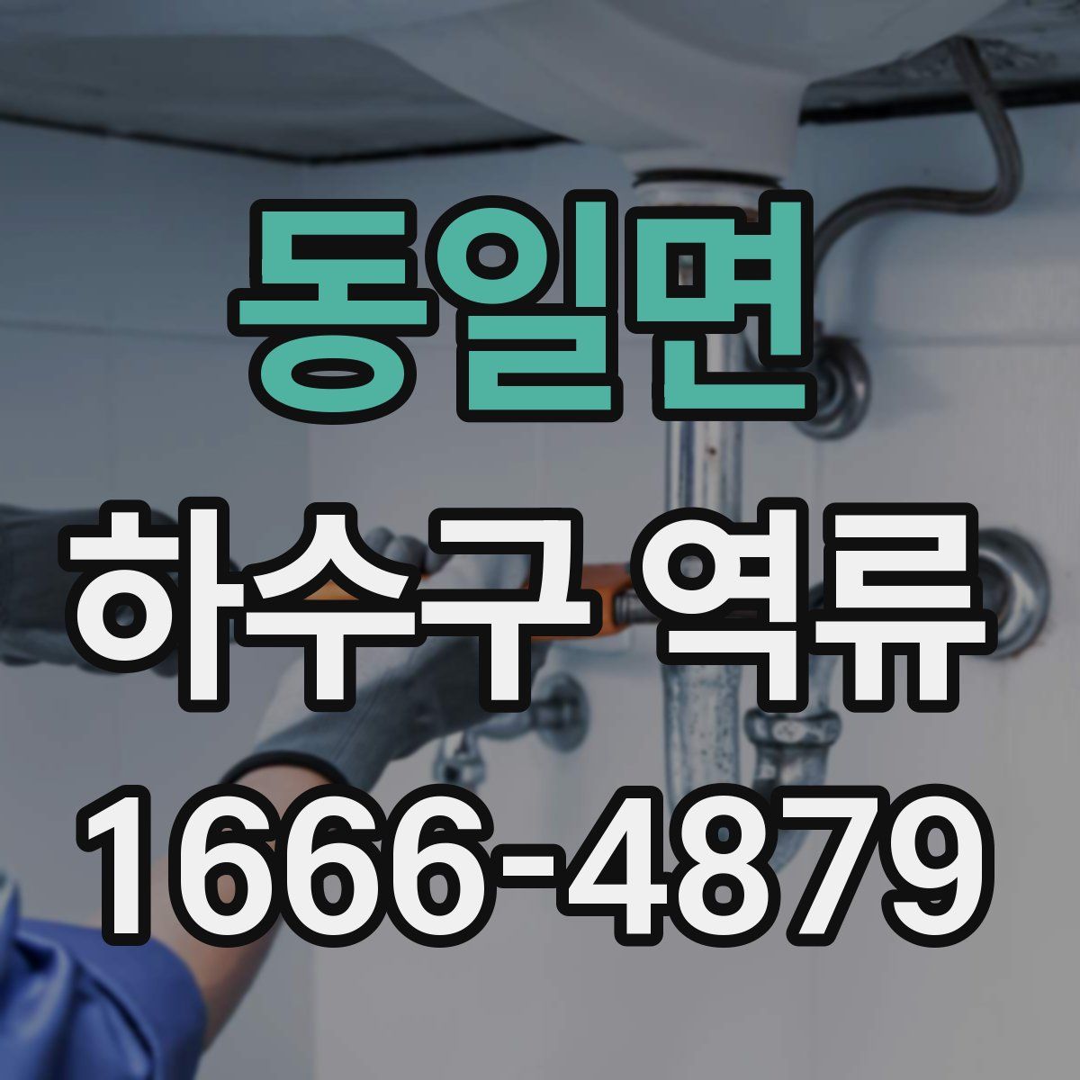 동일면 하수구 역류